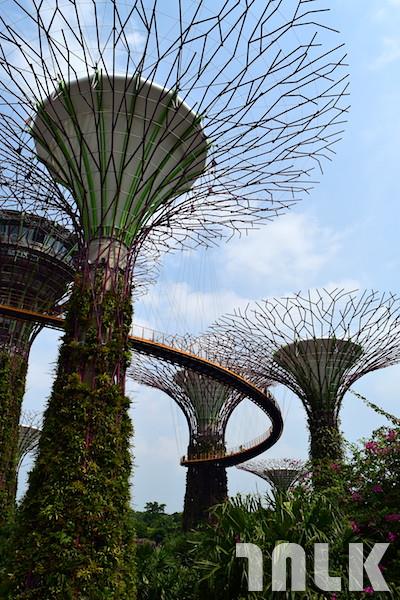 新加坡熱門景點4