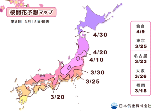日本櫻花前線no8