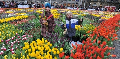 荷蘭國家鬱金香節
