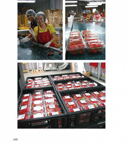 不一樣的勇敢未來，我在紐西蘭打工、旅行、成長3