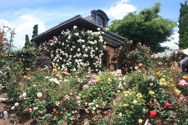河口湖音樂盒之森美術館