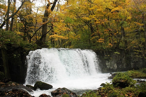 青森奧入瀨溪1