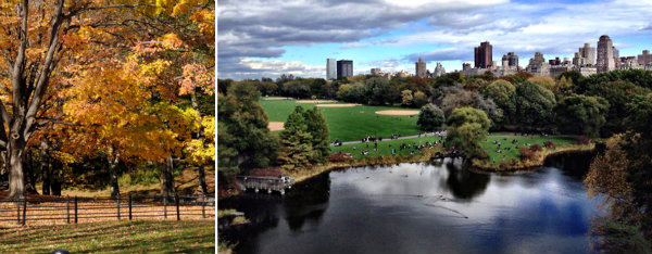 紐約中央公園