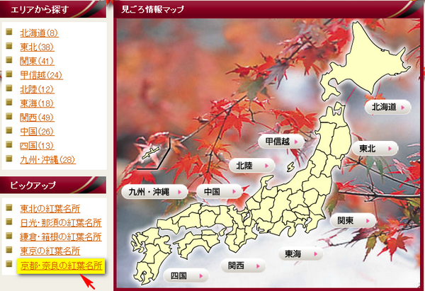 賞楓前線7