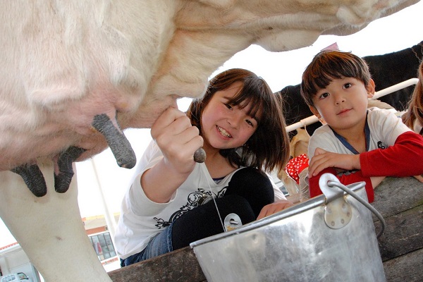 千葉媽咪牧場親子農場體驗