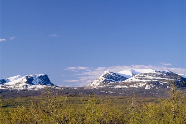 阿比斯庫國家公園