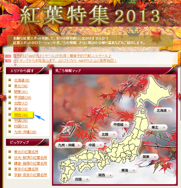 賞楓前線1