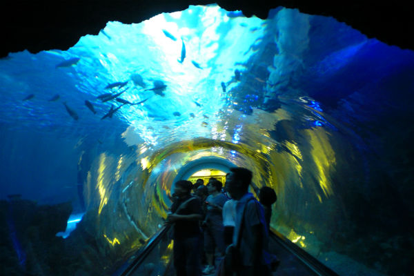 屏東海洋博物館-wikipedia.jpg