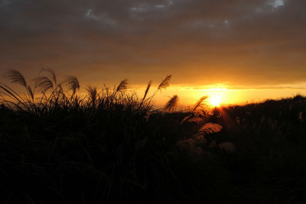 T-陽明山風櫃嘴-Panoramio
