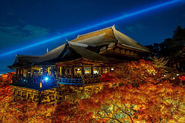 T-清水寺夜楓-japantoday