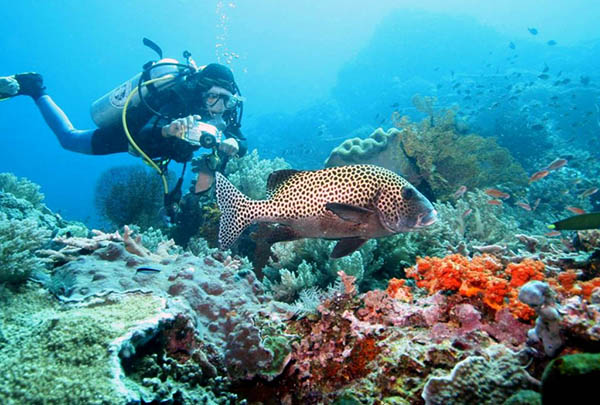 bali-diving-lembongan.jpg