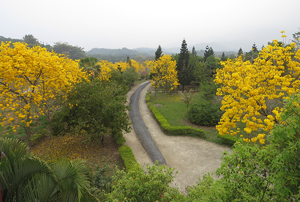 竹崎公園 竹崎鄉公所.JPG