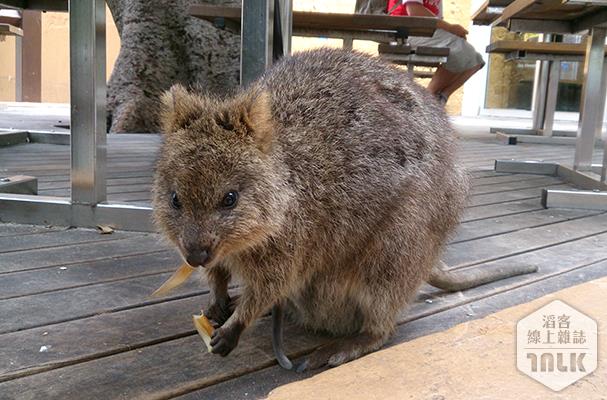 2013-10-15 15.04.36.jpg