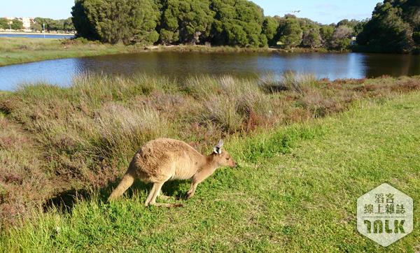 2013-10-07 15.58.33.jpg