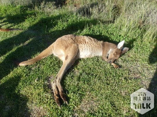 2013-10-07 16.03.07.jpg