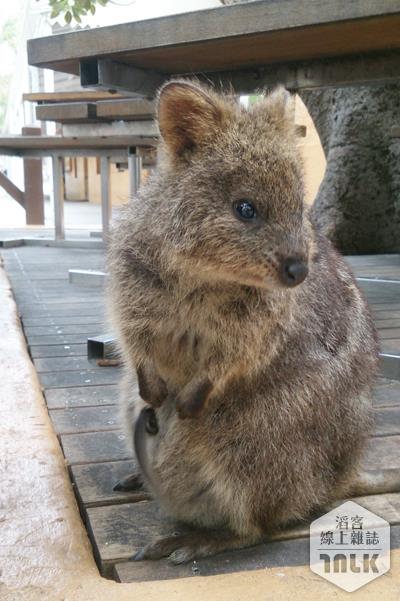 2013-10-15 15.05.58-1.jpg