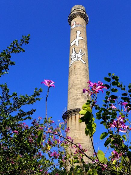 5a0c2e18a19b39ed67778e4d6c5dea41