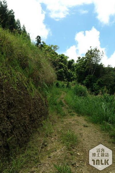 登山步道4.JPG