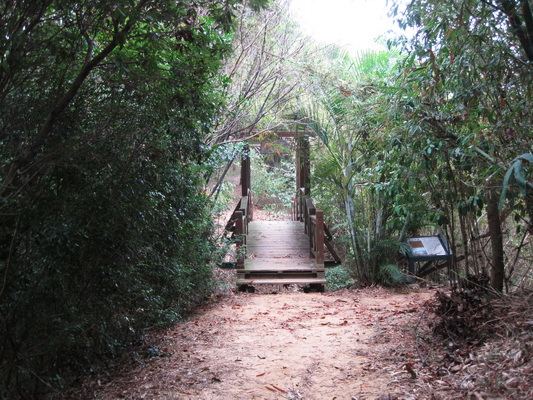 口山步道-周生橋o1