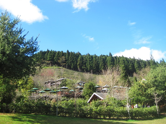 山上人家喝咖啡聊是非