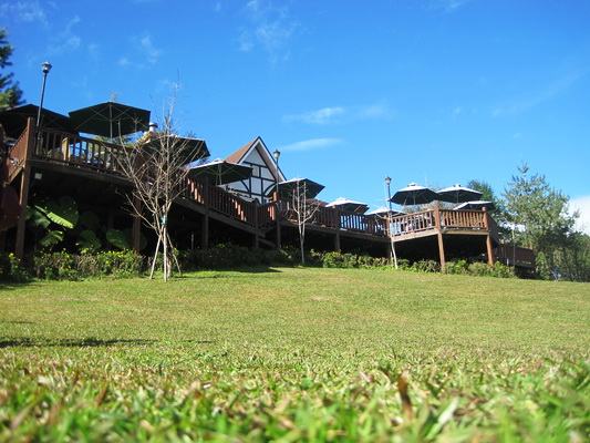 山上人家大草坪