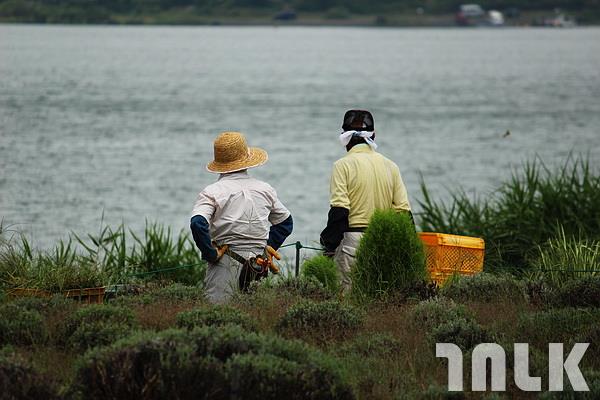 河口湖-自然生活館.JPG
