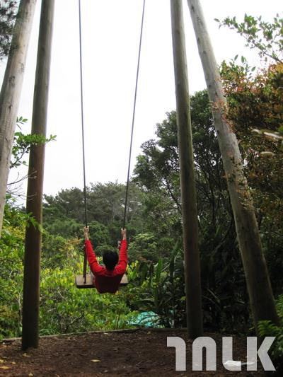 景-植物園-鞦韆-Poly22(L).JPG