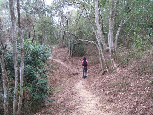 口山步道-步道o1