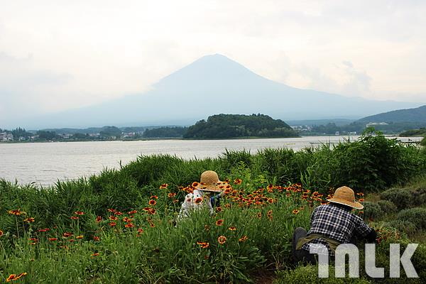 河口湖-富士山.JPG