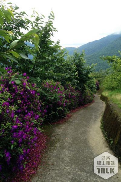 登山步道.JPG