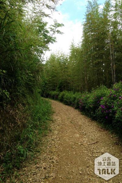 登山步道2.JPG