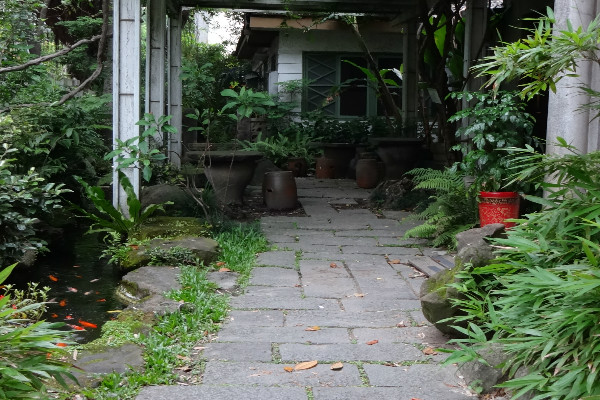 紫藤廬入門之花園景致別有意境