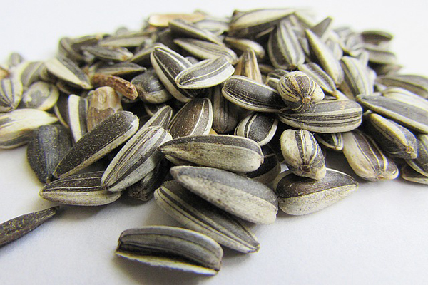 sunflower-seeds-537652_640.jpg