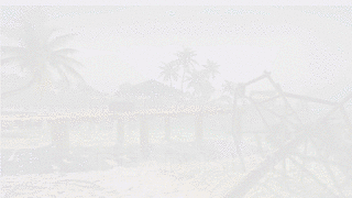 dead island.gif