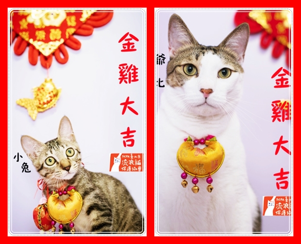 春節