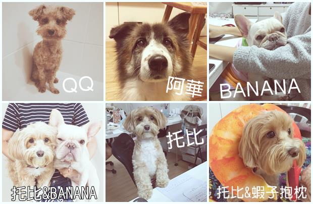 抱枕6 合圖1.jpg