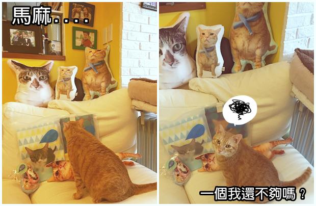 虎虎說話 抱枕.jpg