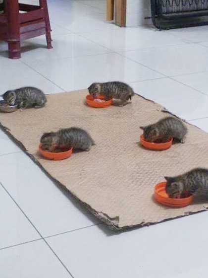 吃飯擺陣.jpg