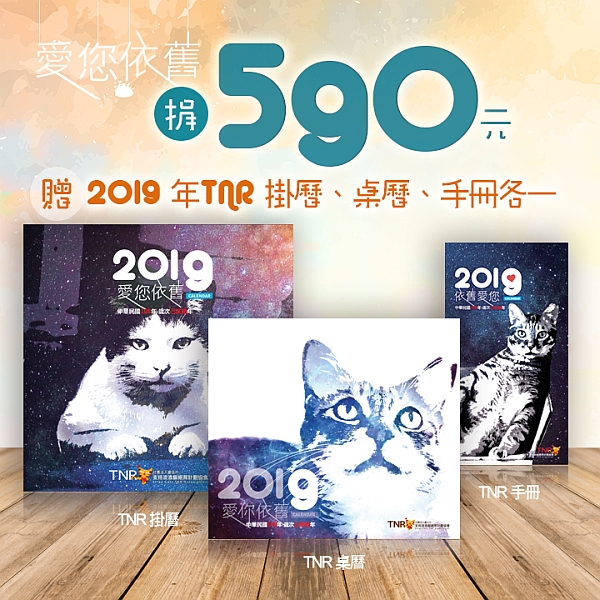 011_臺北市支持流浪貓絕育計劃TNR協會_001.jpg