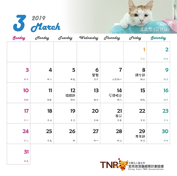 011_臺北市支持流浪貓絕育計劃TNR協會_002.jpg