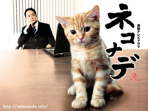 007--貓咪電影.日劇.動畫.心動奇蹟：咪咪知音.jpg