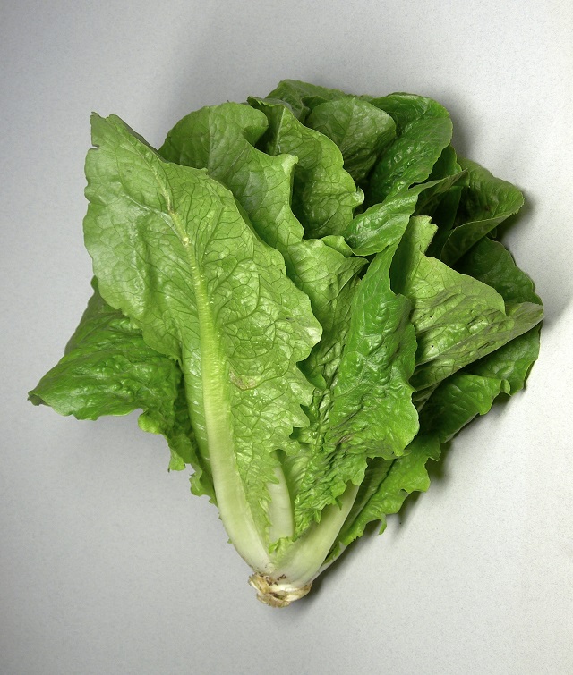 Romaine