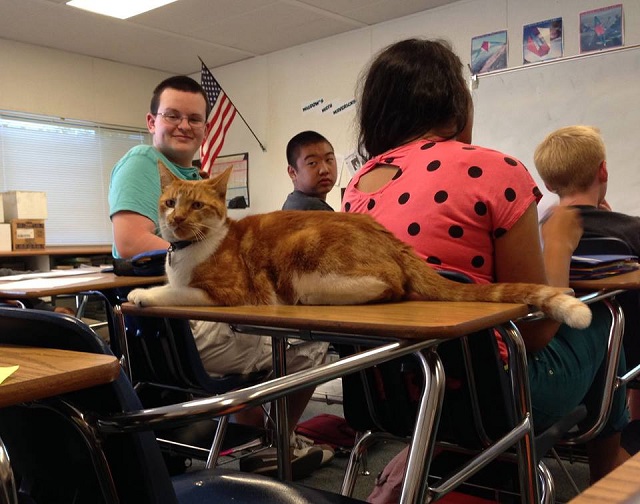 cate5.jpg