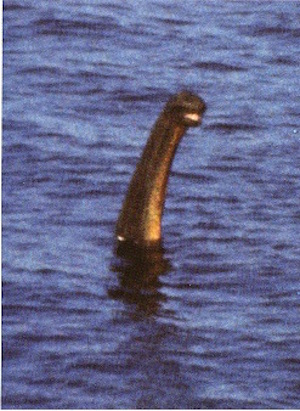 Nessie1.jpg
