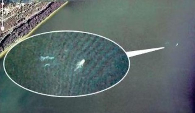 Nessiegoogle map.jpg