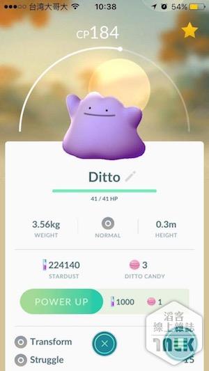 Ditto4.JPG