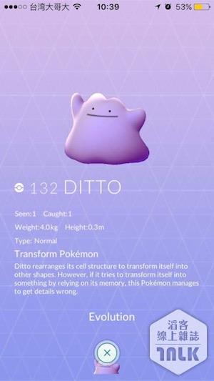 Ditto6.JPG