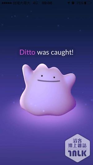 Ditto2.JPG