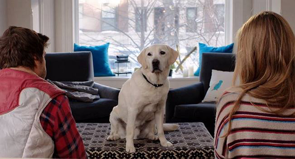 15056227_743603005791703_4671247248422010618_n