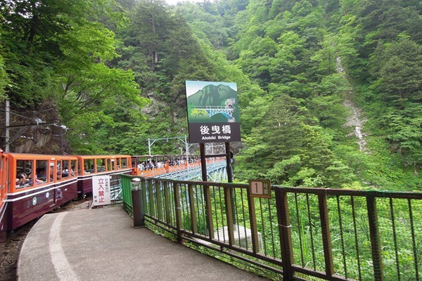 13599568_1083972501674580_813496080_n